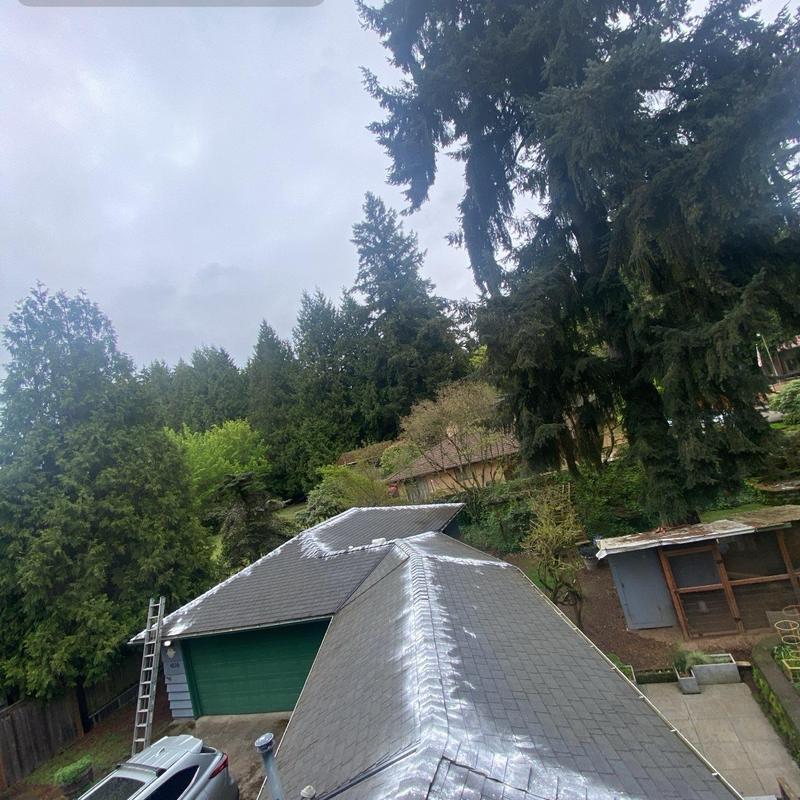 Slate roof with moss treatment and cleaning in Kirkland