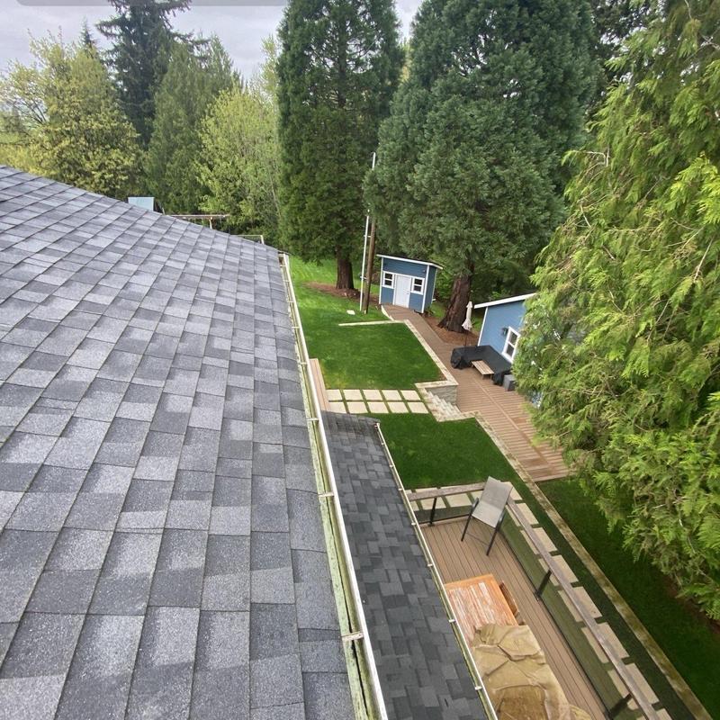 Roof gutters with light debris and surrounding yard view
