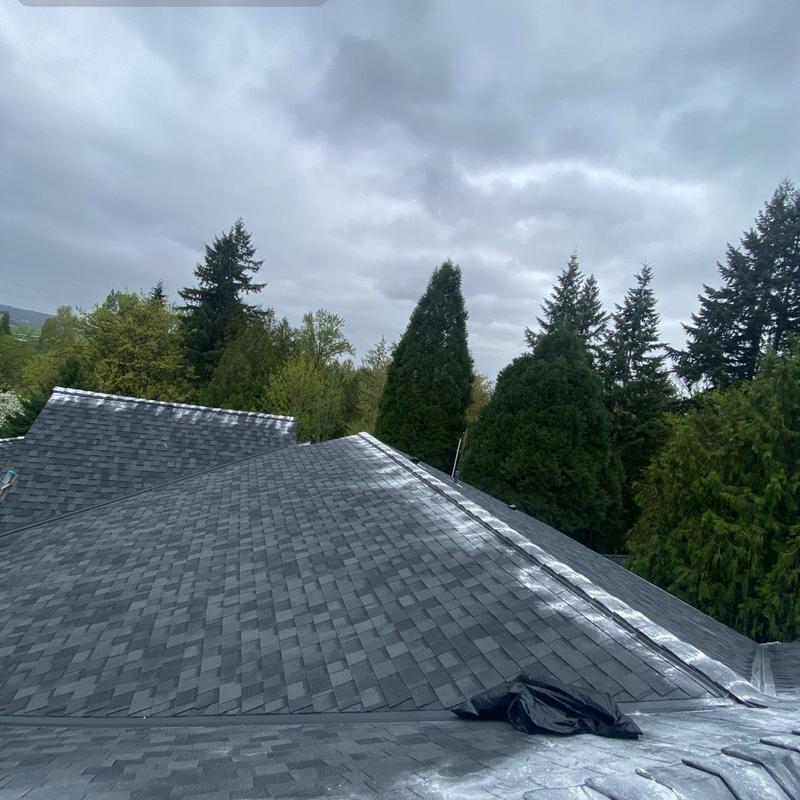 Asphalt shingle roof with moss treatment application