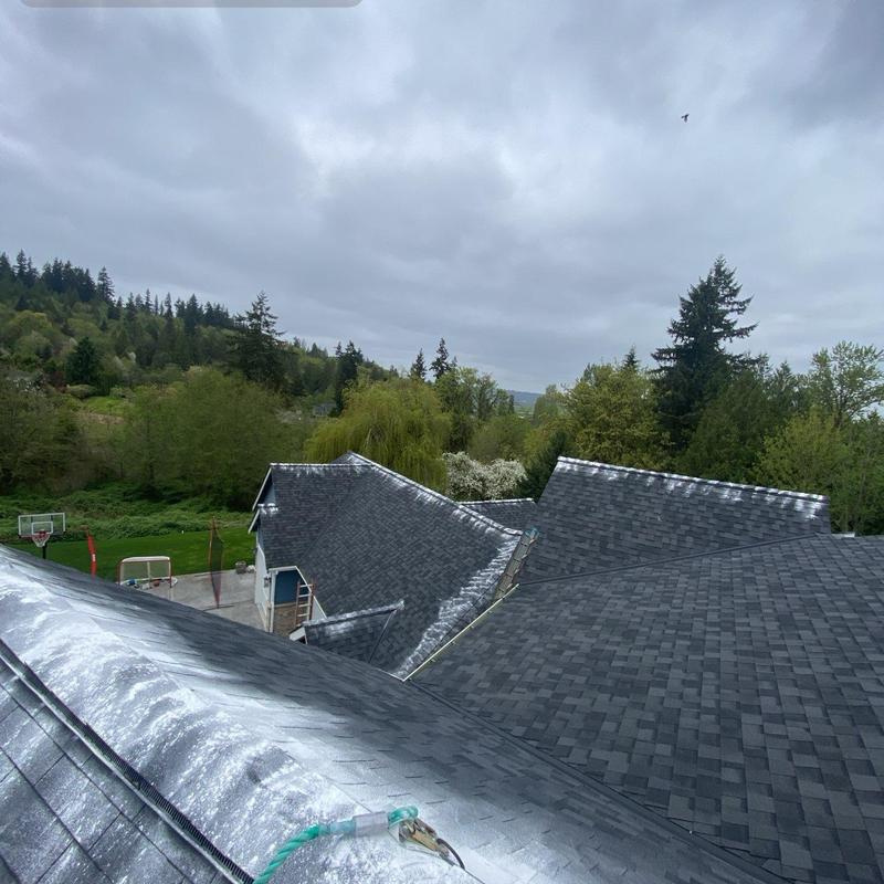 Asphalt shingle roof with moss treatment and cleaning