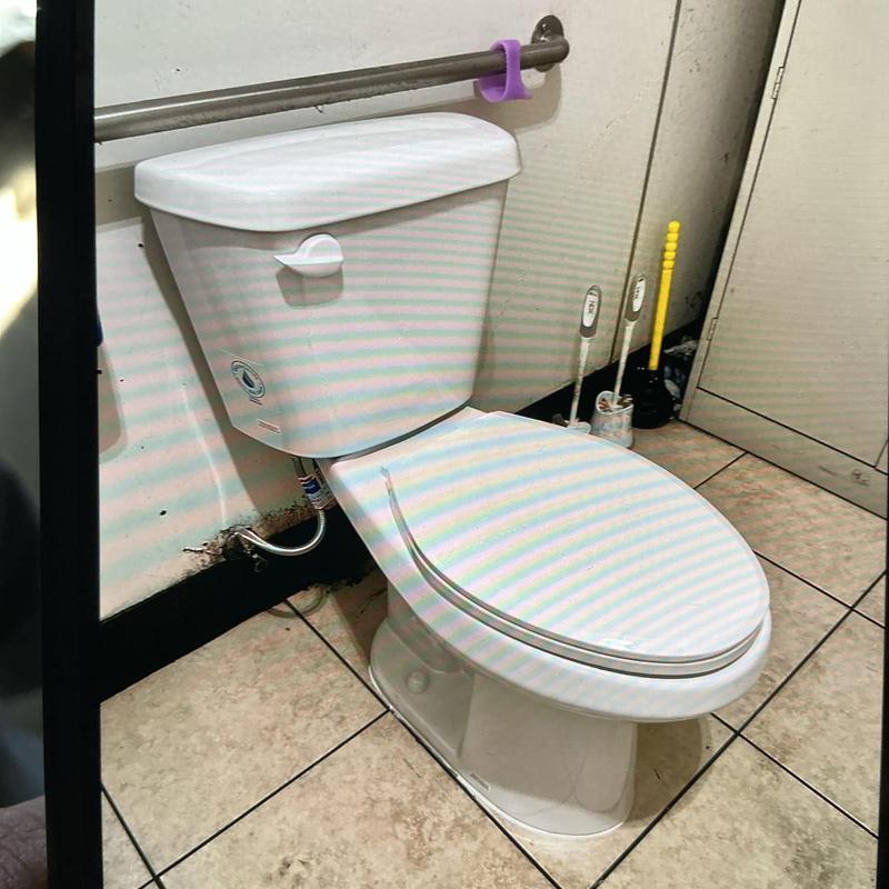 2-piece toilet with supply line and wax ring installation