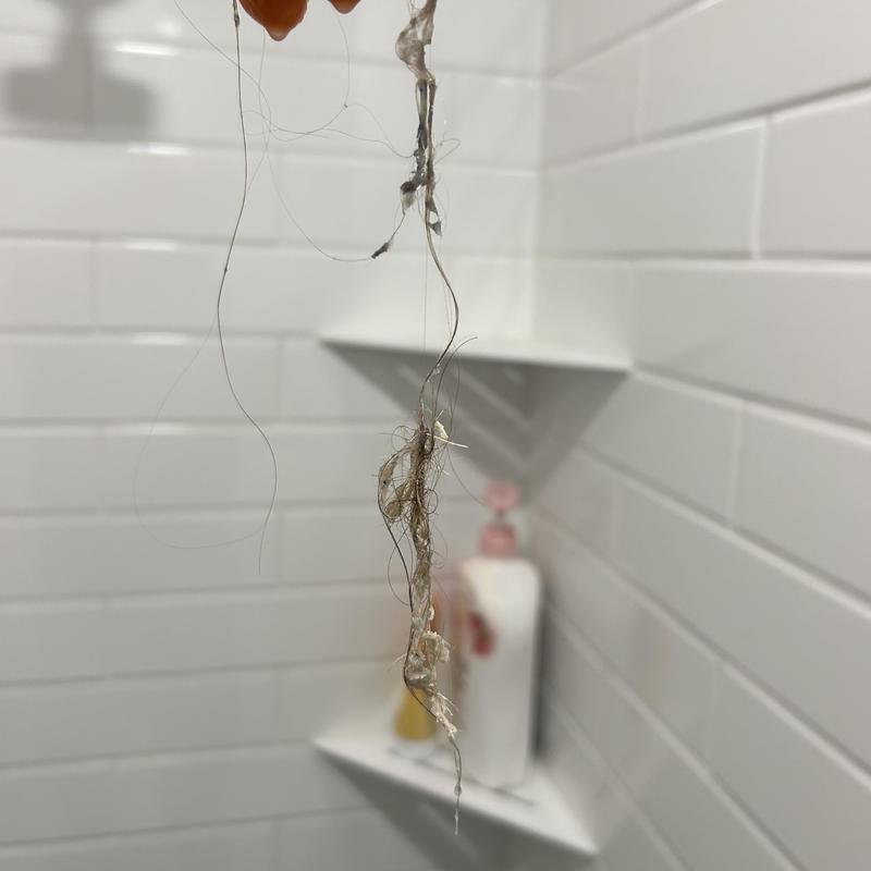 Shower drain clog consisting of hair and debris removed