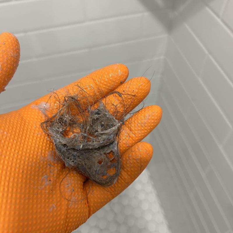 Shower drain clog of hair and debris removal