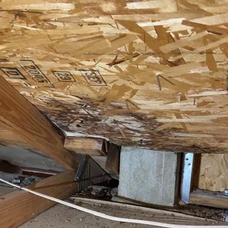 Roof decking with water damage in attic space