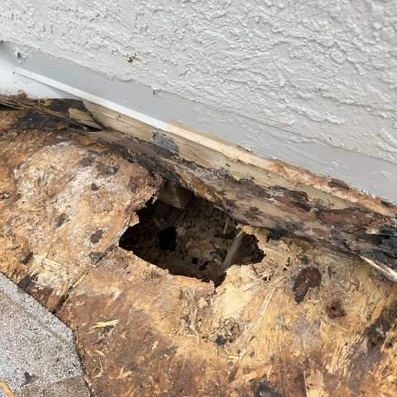 Wood decking with water damage and hole near wall base