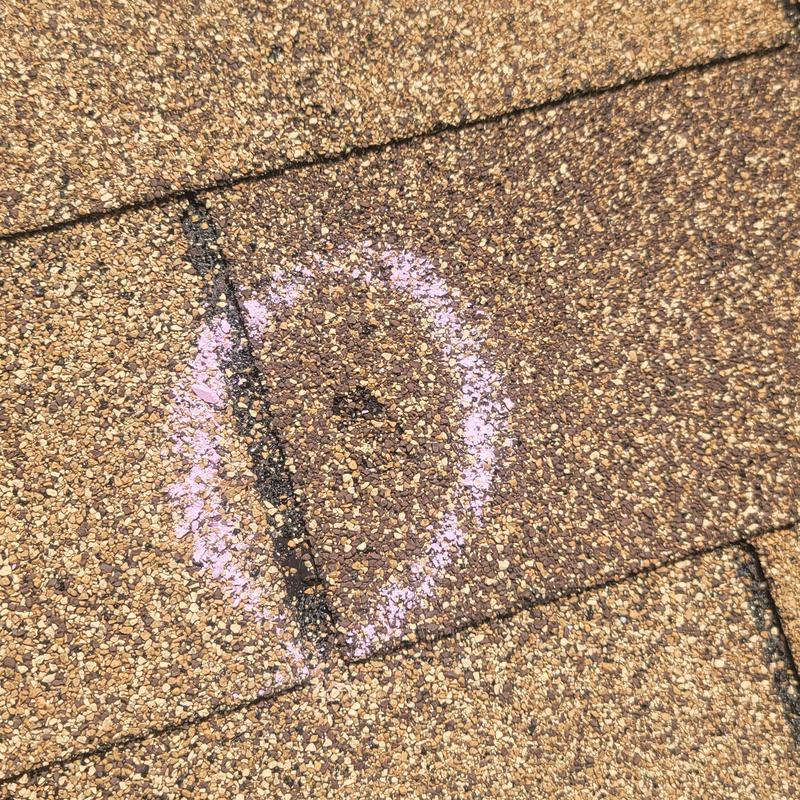 Asphalt shingle with hail damage marked in pink chalk