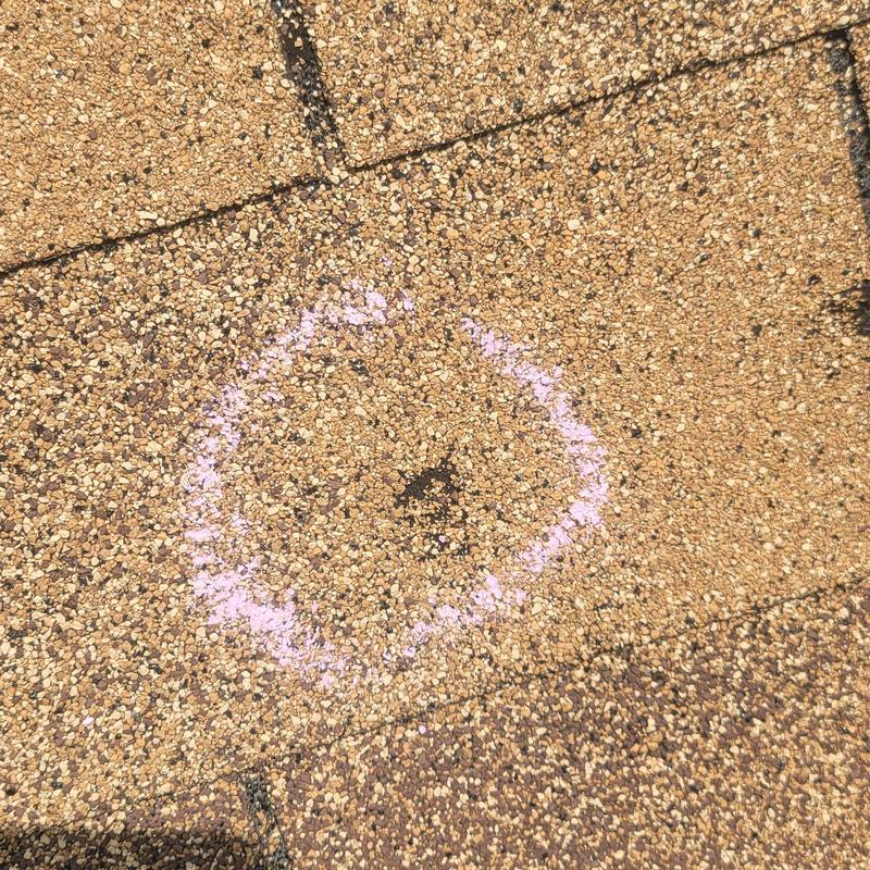 Asphalt shingle hail damage circled in chalk