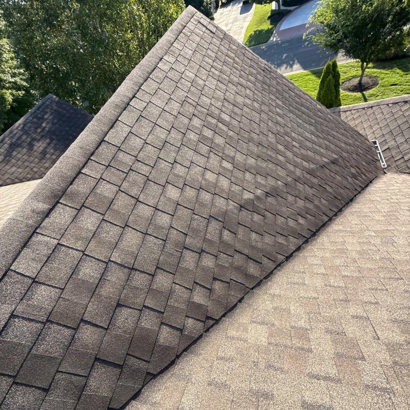 Asphalt shingle roof with hail damage and granule loss