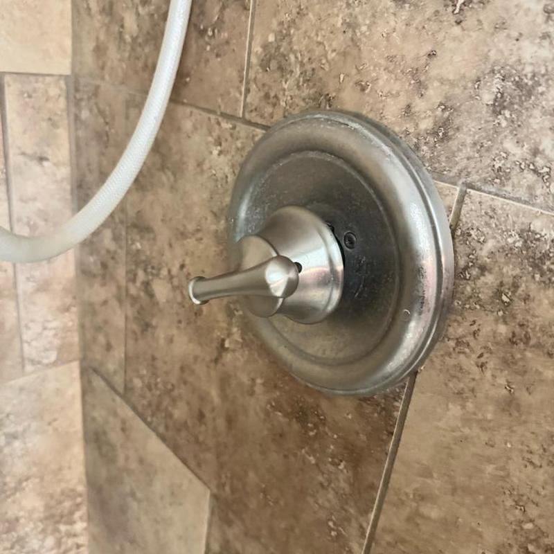 Shower valve handle with corrosion and trim plate