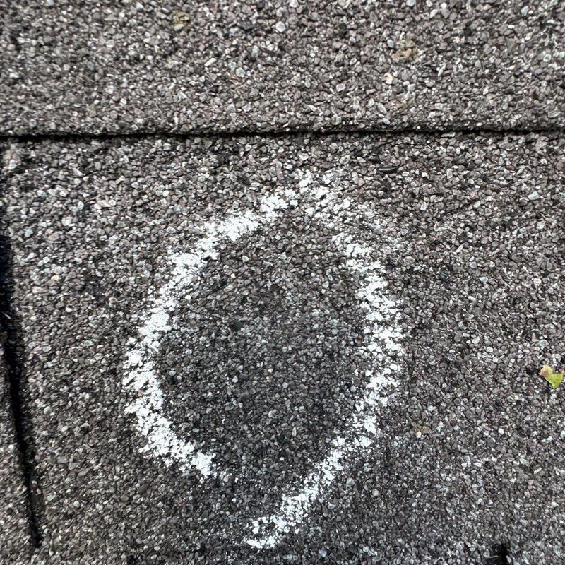 Asphalt roof shingle with hail damage marked in chalk