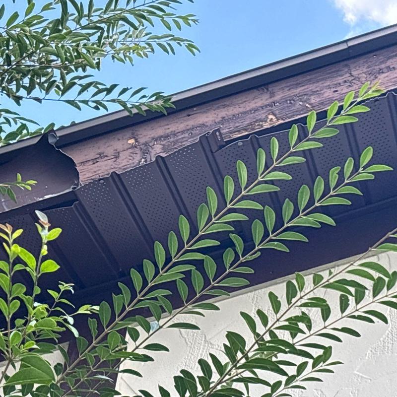 Roof fascia board with water damage and rot