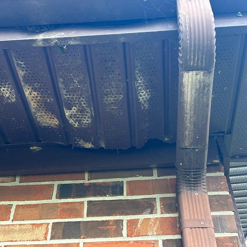 Metal soffit panels with rust and damage near downspout