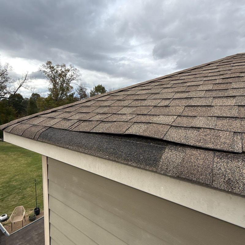 Asphalt shingles with visible damage along roof edge