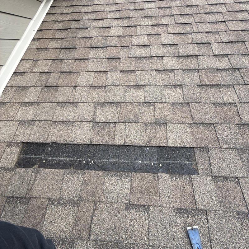 Asphalt shingles with hail damage and missing granules