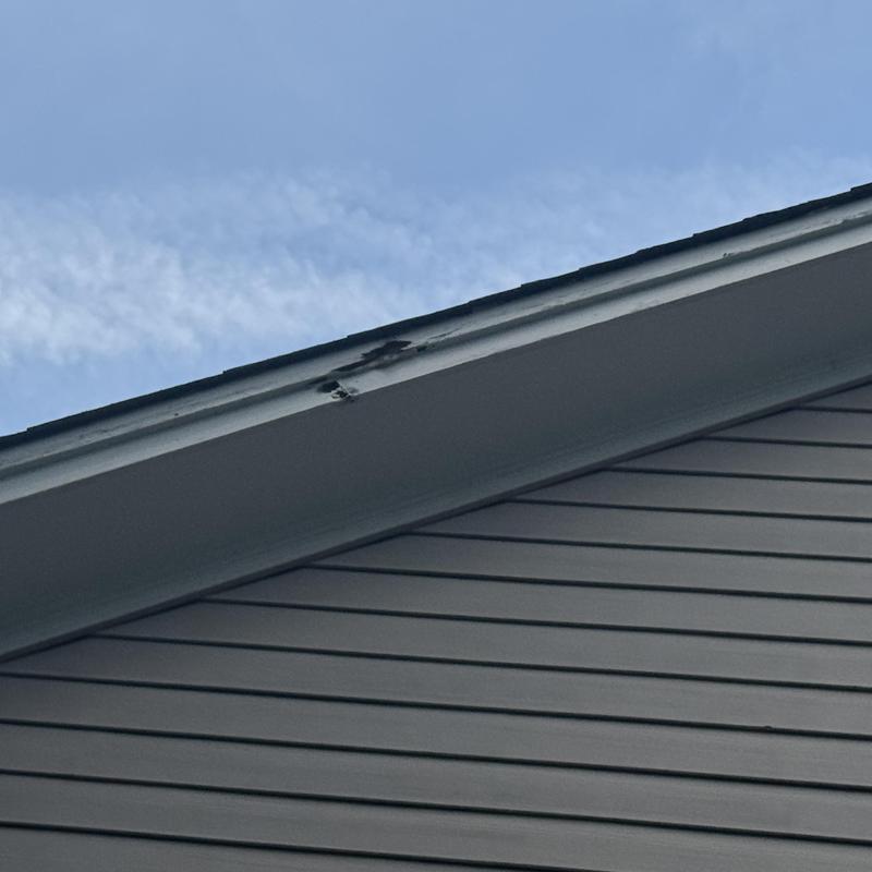 Roof fascia damage near shingles and siding Roof fascia damage near shingles and siding