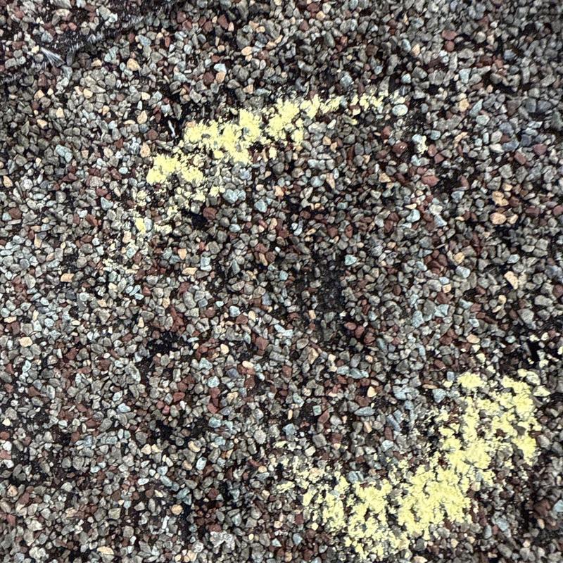 Asphalt roofing shingles with hail damage markings