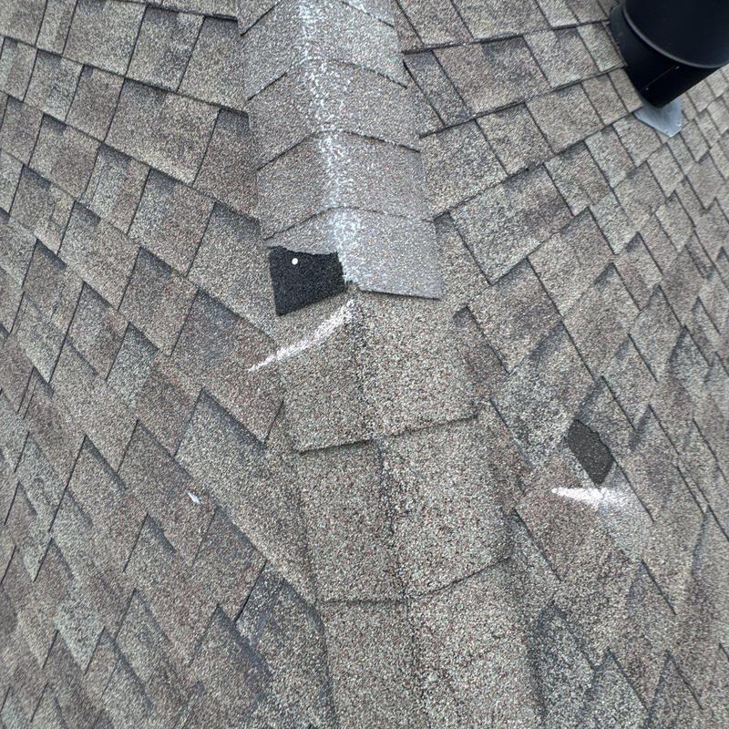 Asphalt roof shingles with hail damage marked in white