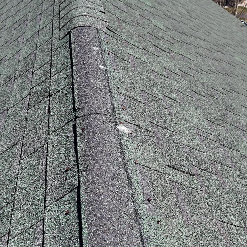 Green asphalt shingle roof with ridge caps installation