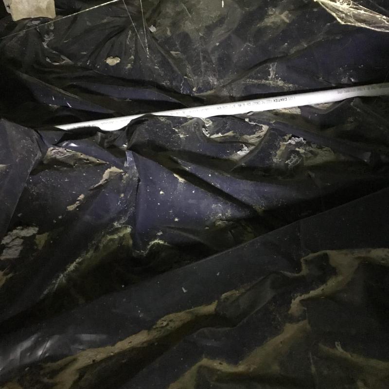 PEX piping on black plastic moisture barrier in crawlspace