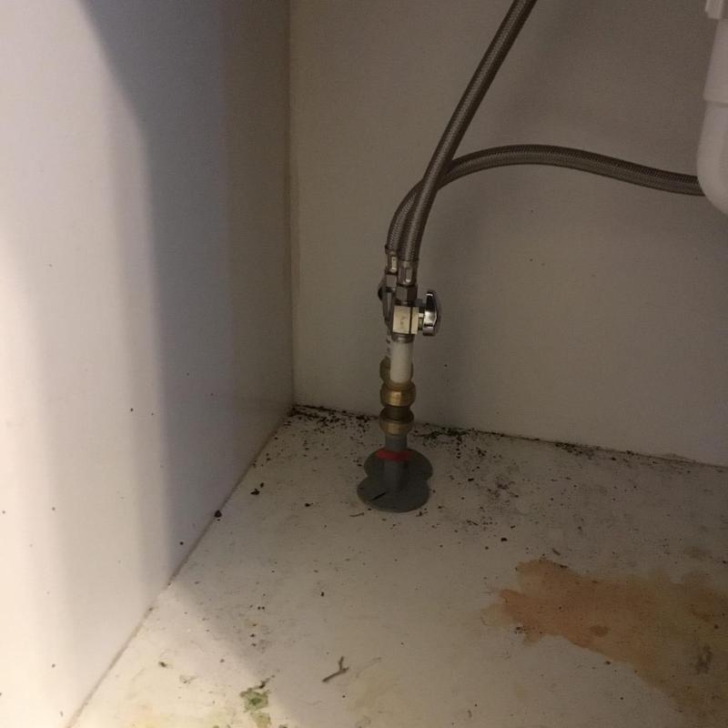 PEX plumbing angle stop with supply hoses under sink