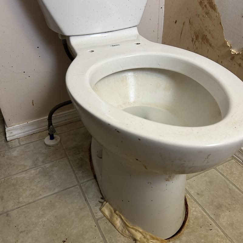 Toilet leak repair with flange seal and water line