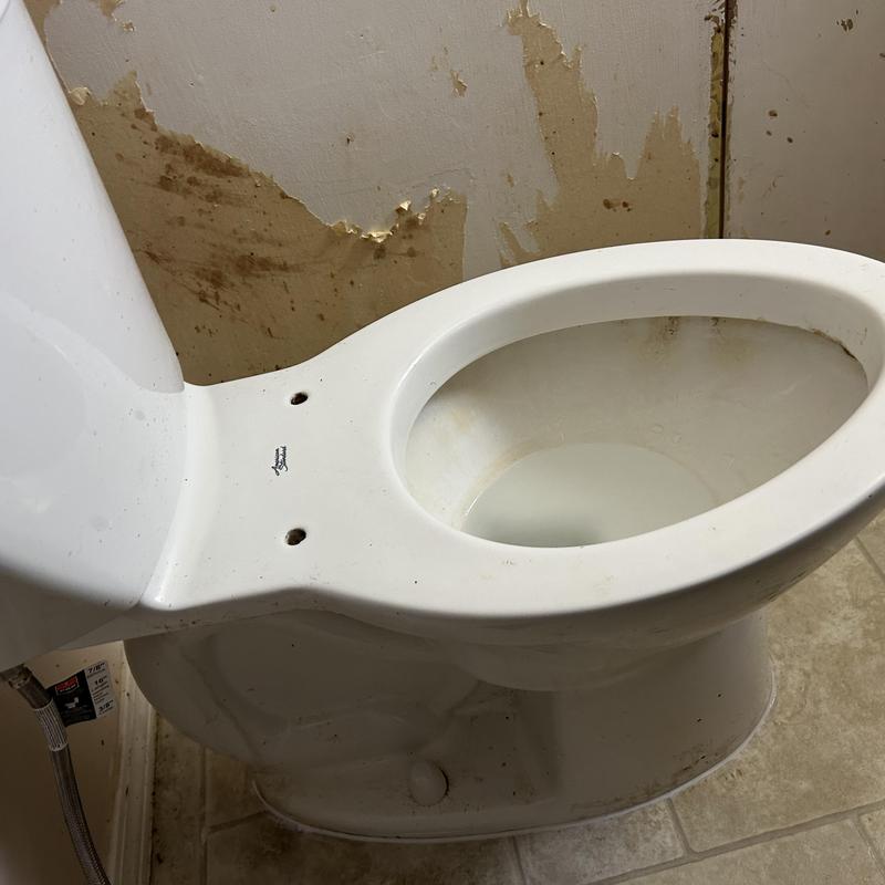 Toilet bowl with water leak and damaged wall paint