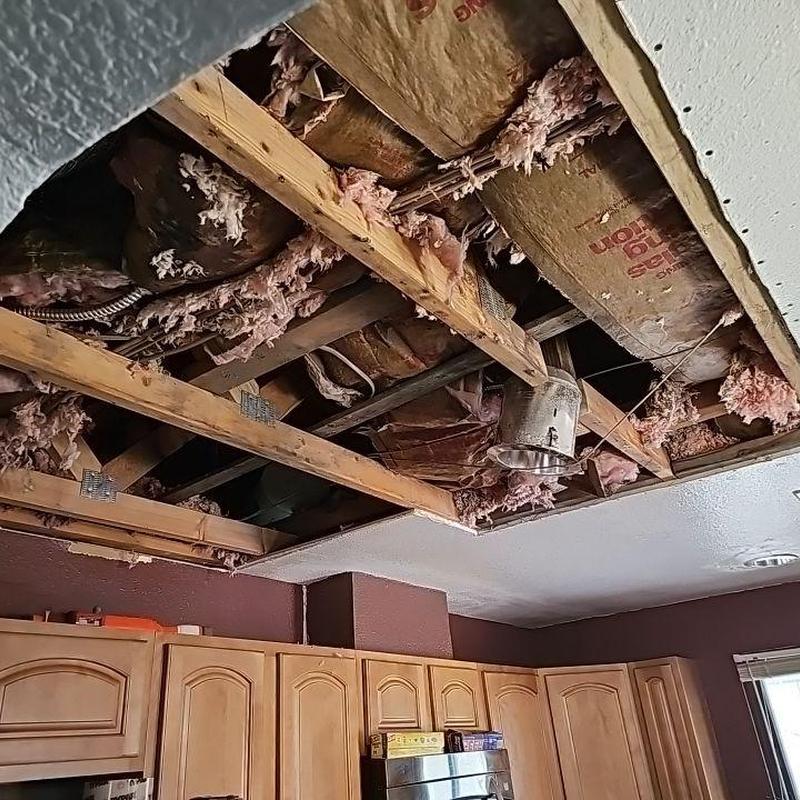Ceiling drywall removed showing insulation and joists Ceiling drywall removed showing insulation and joists