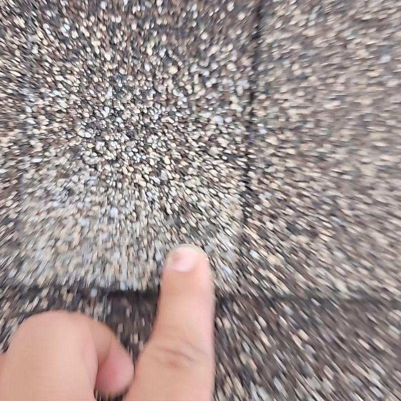 Asphalt shingle roof with hail damage pointed out Asphalt shingle roof with hail damage pointed out