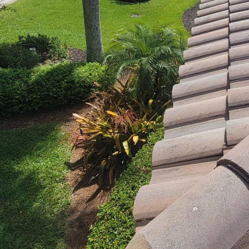 Concrete tile roof with landscaping below in Fort Myers