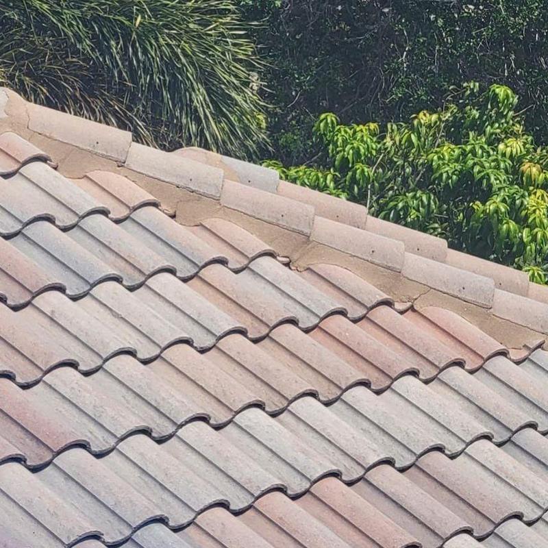 Concrete tile roof with ridge tile repairs near trees