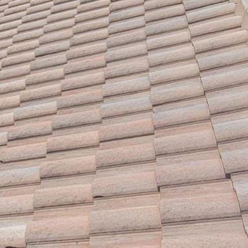 Concrete tile roof with minor repairs in Fort Myers