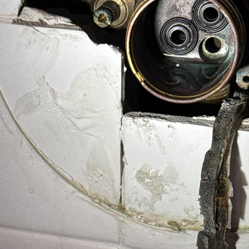 Delta tubshower faucet cartridge and seats in housing