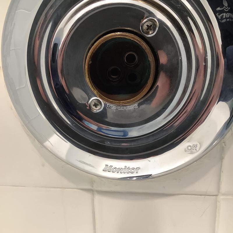 Delta Monitor tubshower faucet cartridge housing close-up
