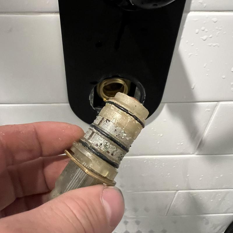 Thermostatic cartridge with sediment removed from valve Thermostatic cartridge with sediment removed from valve