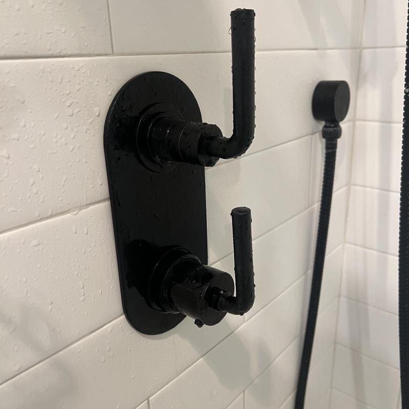 Thermostatic shower cartridge with black handles and hose Thermostatic shower cartridge with black handles and hose