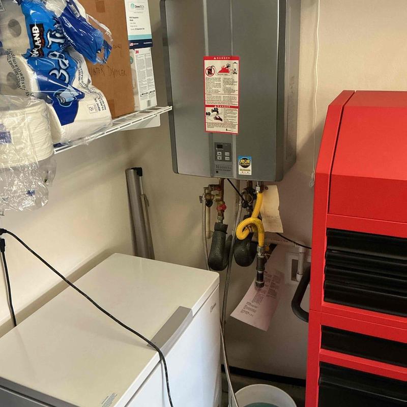 Tankless water heater with flushing pump system