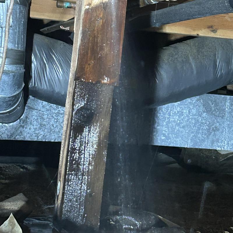Crawlspace wooden support beam soaked from leak repair