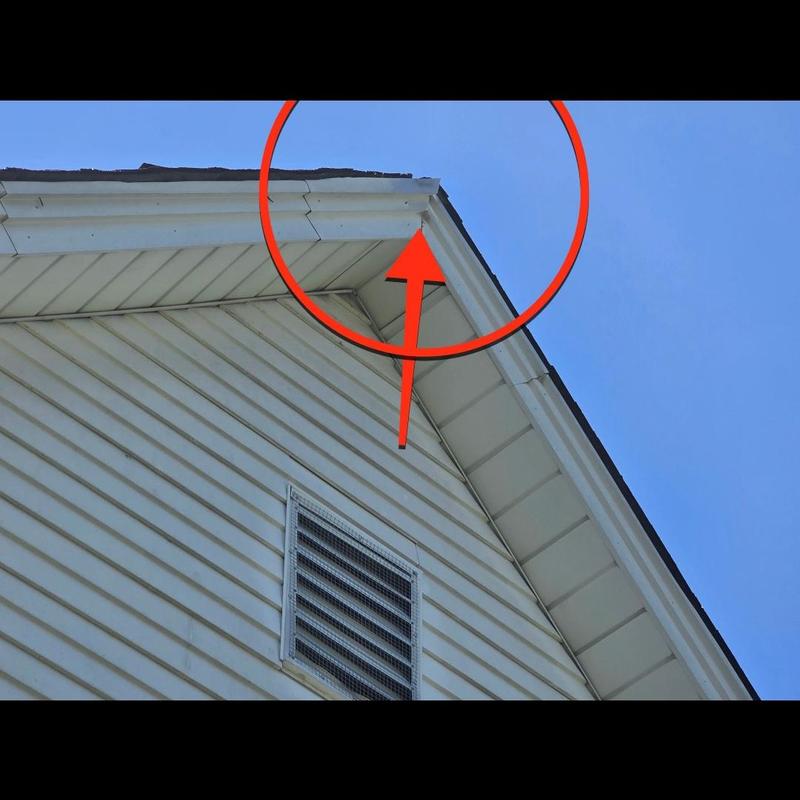 Roof ridge and drip edge metal damaged by squirrel entry Roof ridge and drip edge metal damaged by squirrel entry