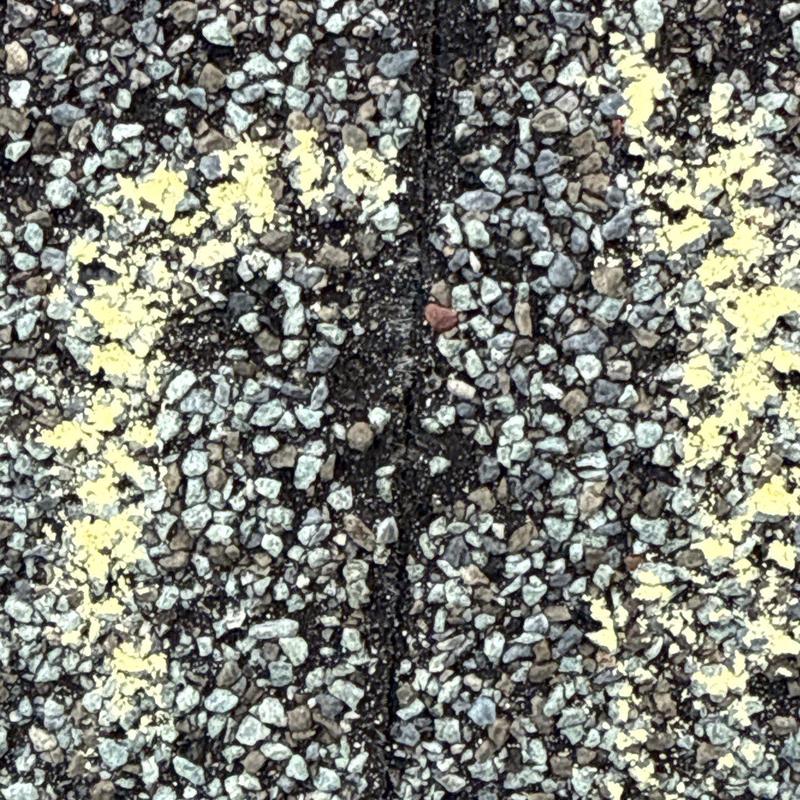 Asphalt shingle roofing with hail damage markings