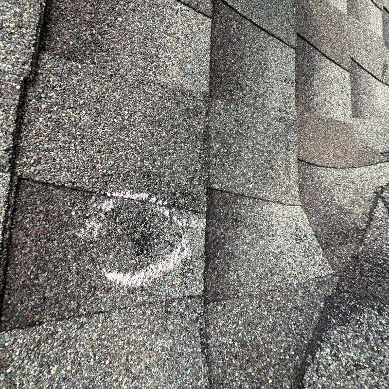 Roof shingles with hail damage circled in chalk