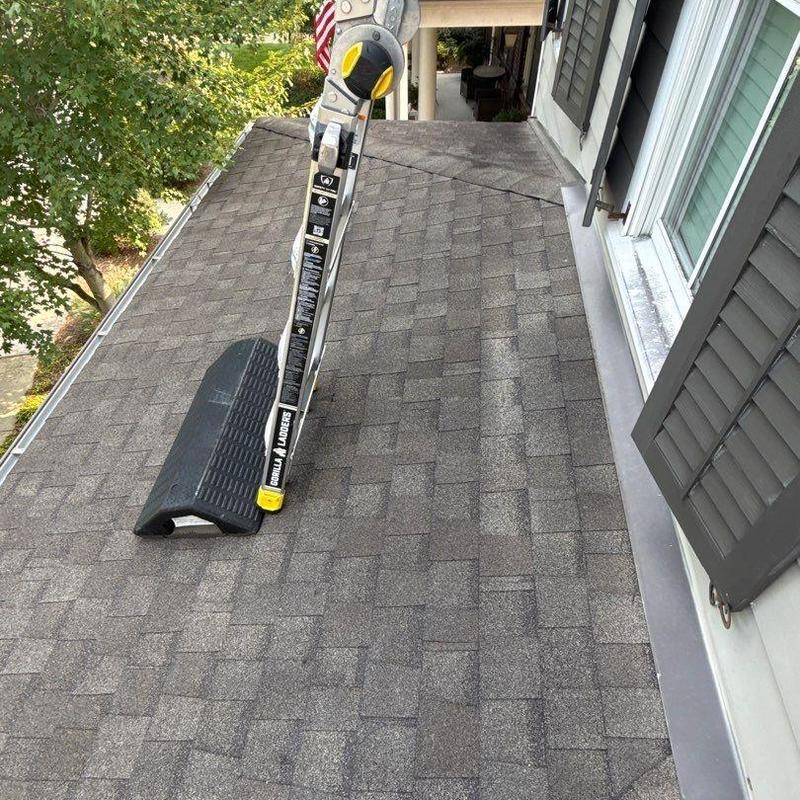Asphalt shingle roof with inspection ladder and gutter
