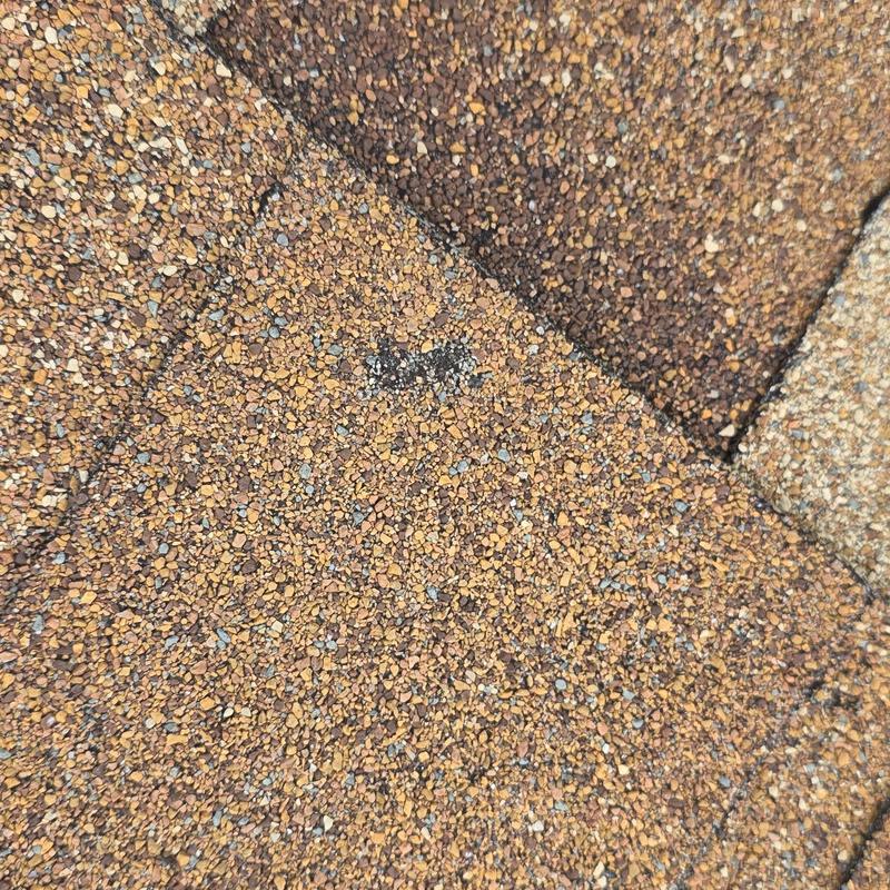 Asphalt roof shingle with hail damage and granule loss