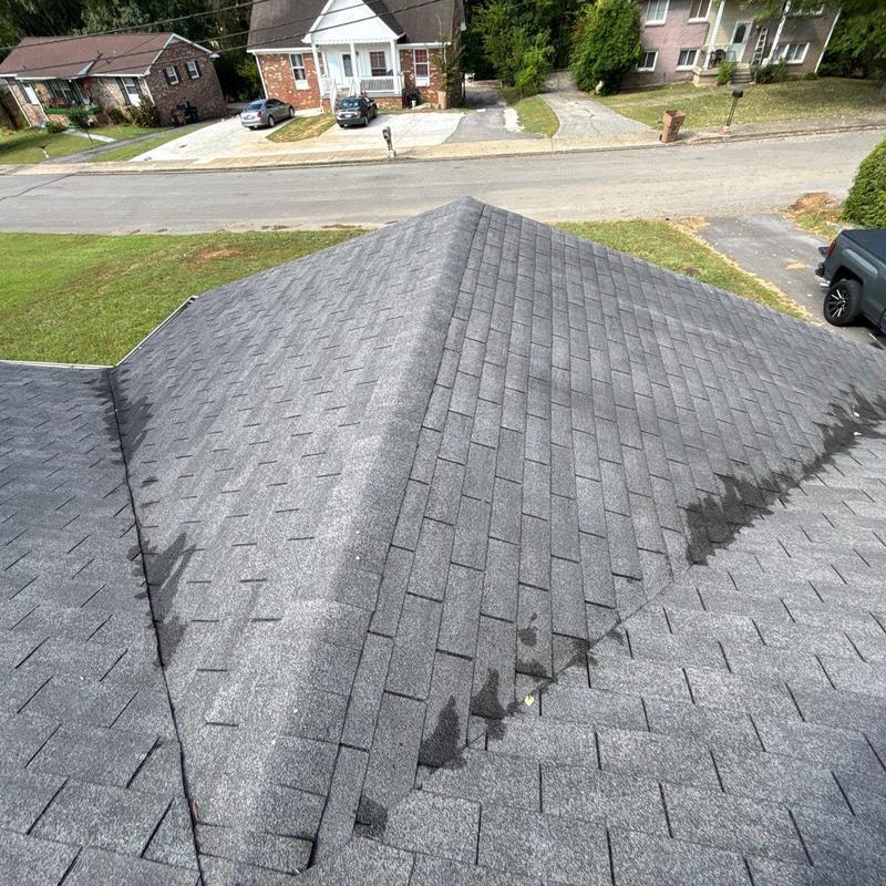 Asphalt shingle roof with water stains in residential area