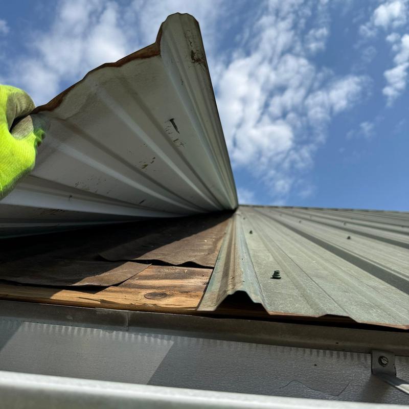 Metal roofing panel lifted to inspect underlayment damage