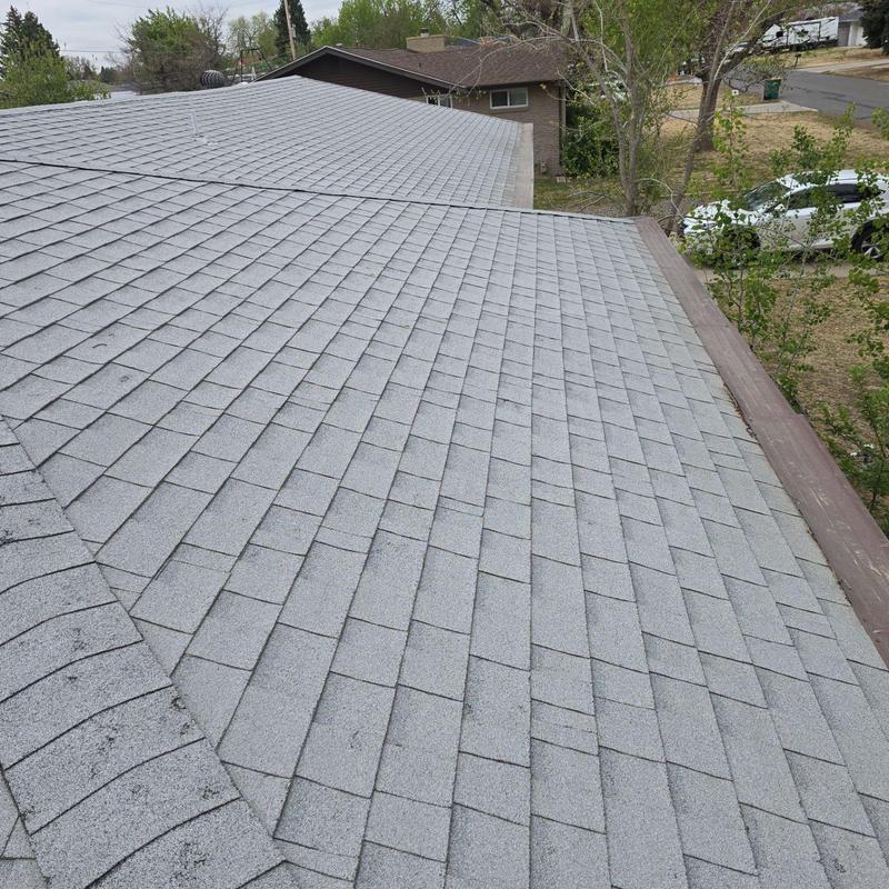 Shingle roof with visible hail damage across slopes Shingle roof with visible hail damage across slopes