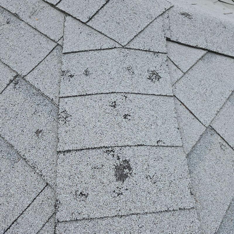 Shingle roof hail damage with granule loss spots Shingle roof hail damage with granule loss spots