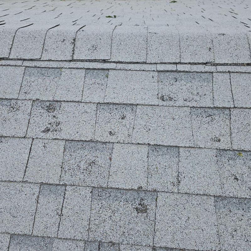 Shingle roof with visible hail damage spots Shingle roof with visible hail damage spots