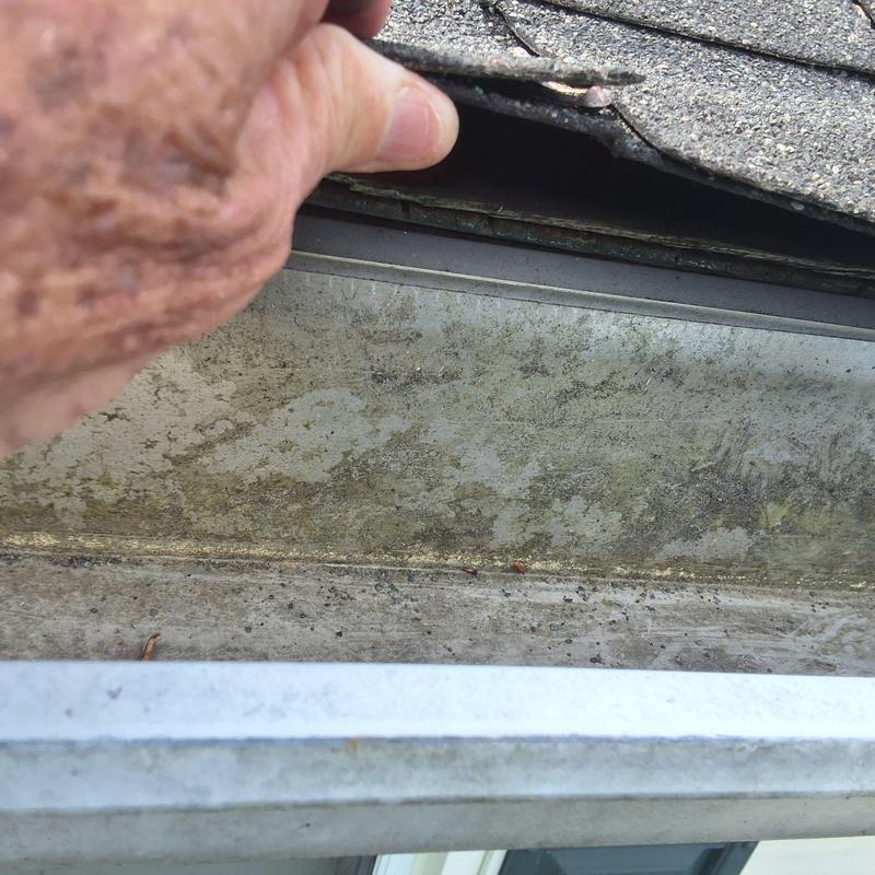 Shingle roof edge revealing damaged underlayment and gutter