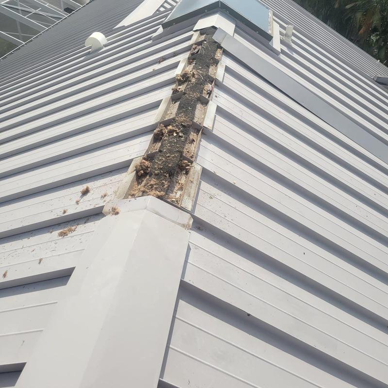Standing seam metal roof with removed ridge cap panels