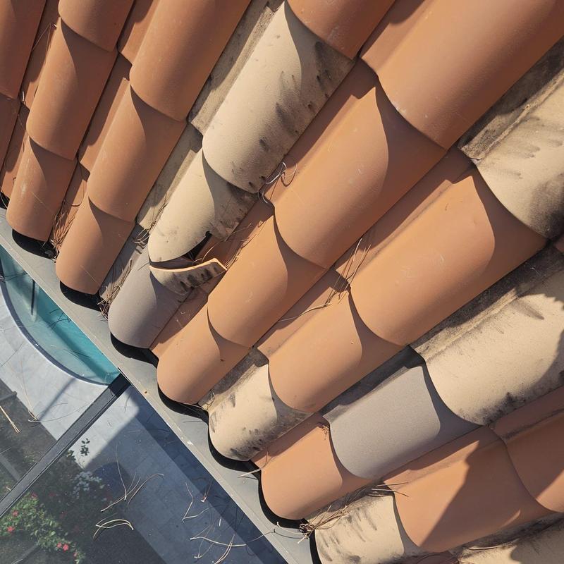 Tile roof with debris and dirt buildup on tiles